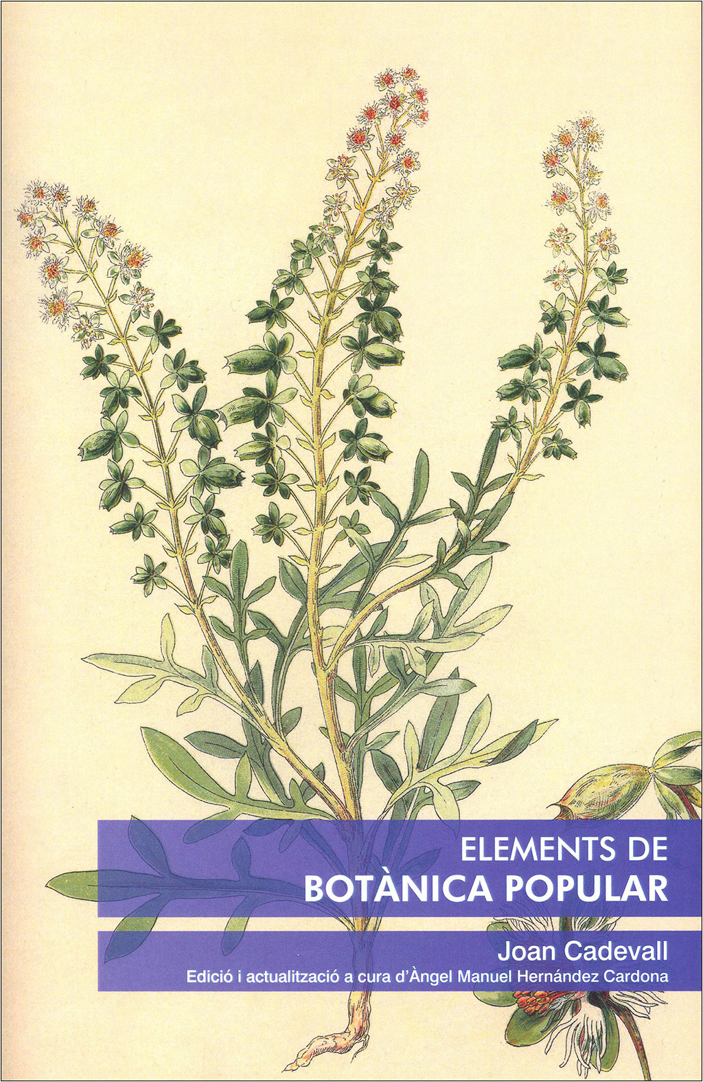 ELEMENTS DE BOTÀNICA POPULAR       1