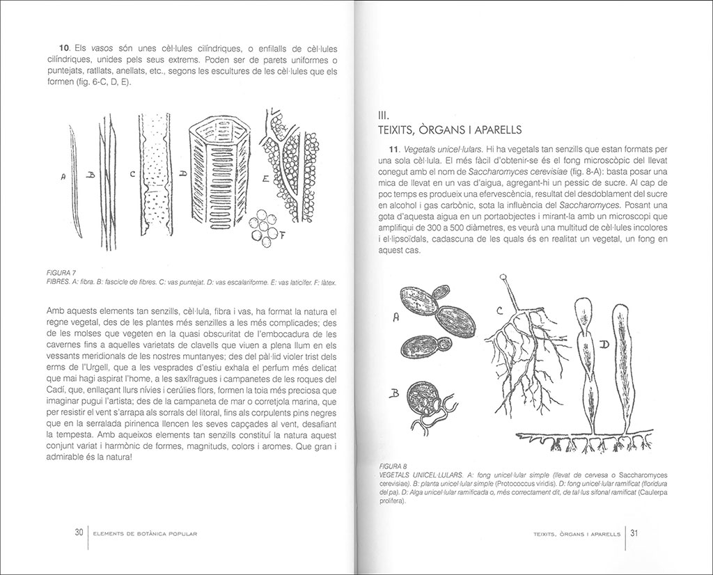 ELEMENTS DE BOTÀNICA POPULAR       2