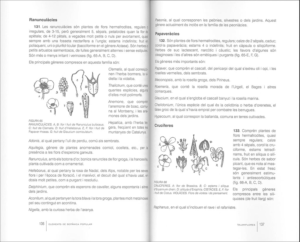 ELEMENTS DE BOTÀNICA POPULAR       3