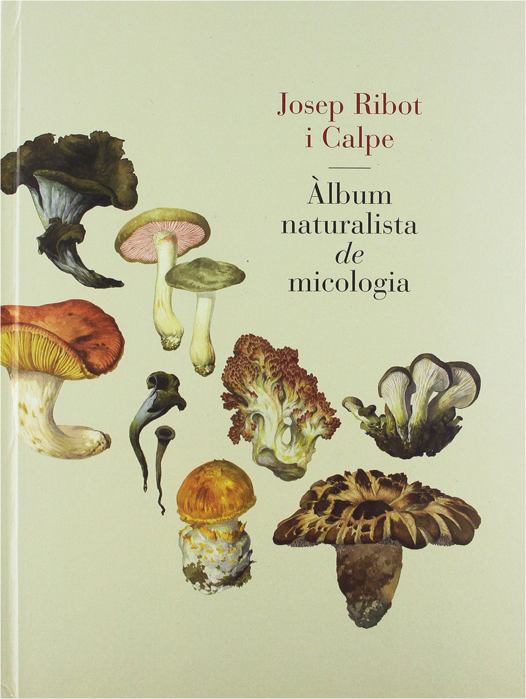 ALBUM NATURALISTA DE MICOLOGIA
