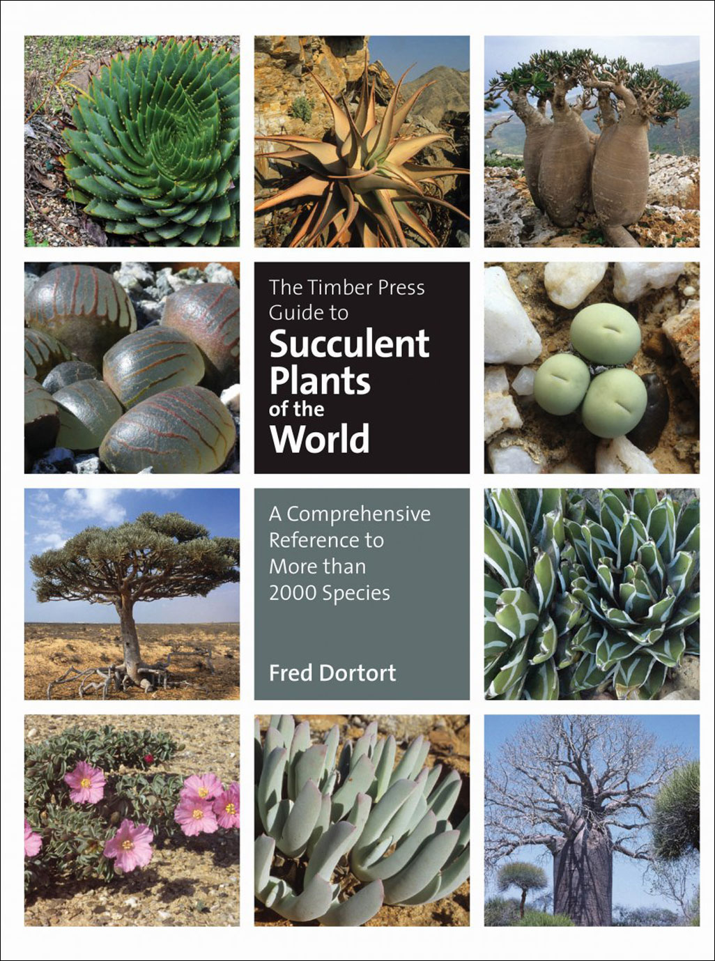 THE TIMBER PRESS GUIDE TO SUCCULENT PLANTS OF THE WORLD: A COMPREHENSIVE REFERENCE TO MORE THAN 2000 SPECIES