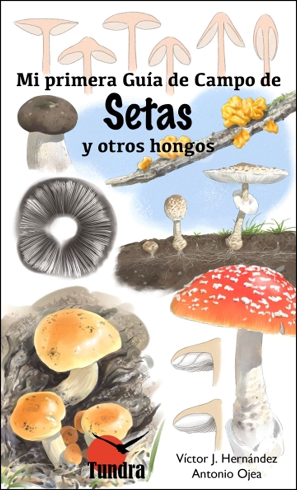MI PRIMERA GUÍA DE CAMPO DE SETAS Y OTROS HONGOS 1