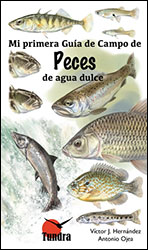 MI PRIMERA GUIA DE CAMPO DE PECES DE AGUA DULCE 1