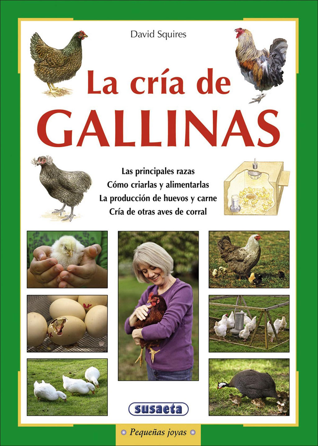 LA CRÍA DE GALLINAS 1