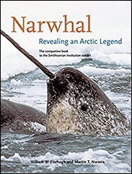 NARWHAL. REVEALING AN ARCTIC LEGEND 1