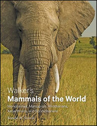 WALKER'S MAMMALS OF THE WORLD: MONOTREMES, MARSUPIALS, AFROTHERIANS, XENARTHRANS, AND SUNDATHERIANS 1