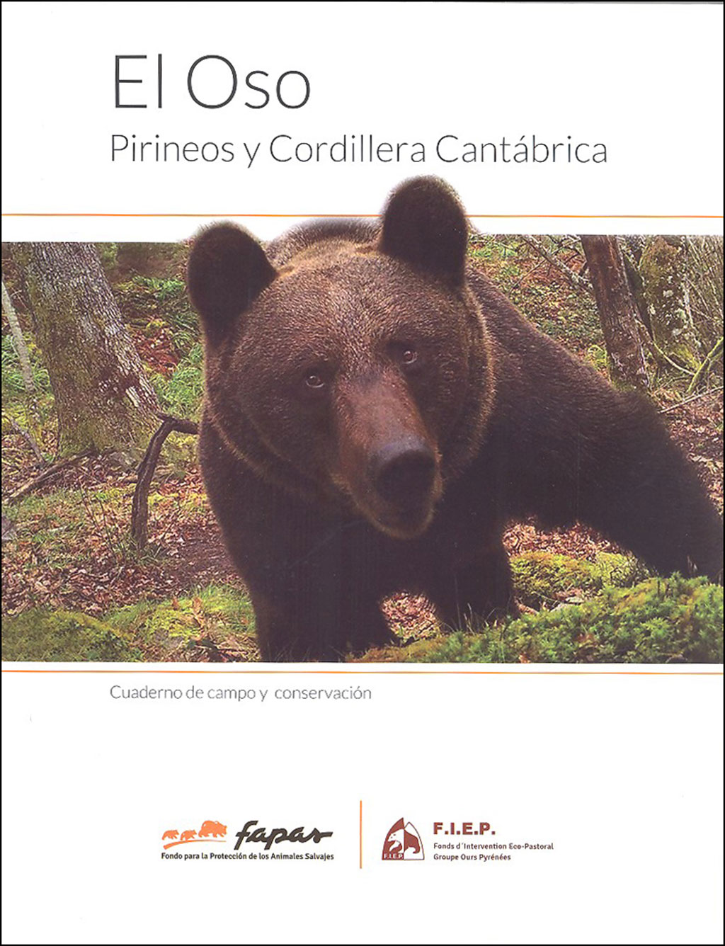 EL OSO. PIRINEOS Y CORDILLERA CANTÁBRICA. CUADERNO DE CAMPO Y CONSERVACIÓN 1