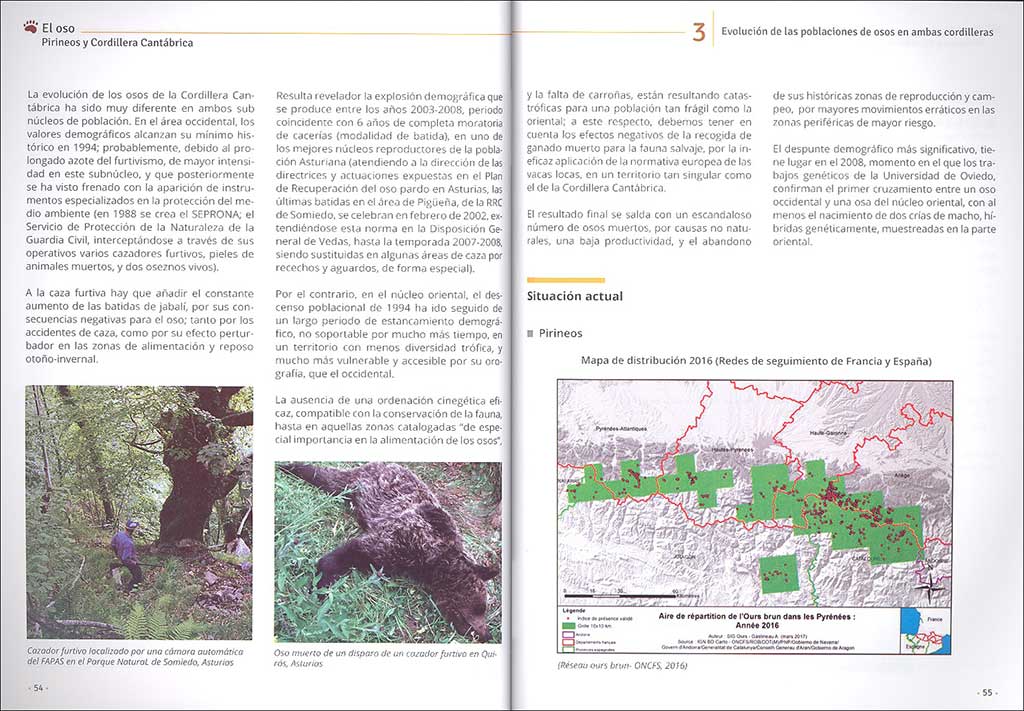 EL OSO. PIRINEOS Y CORDILLERA CANTÁBRICA. CUADERNO DE CAMPO Y CONSERVACIÓN 2