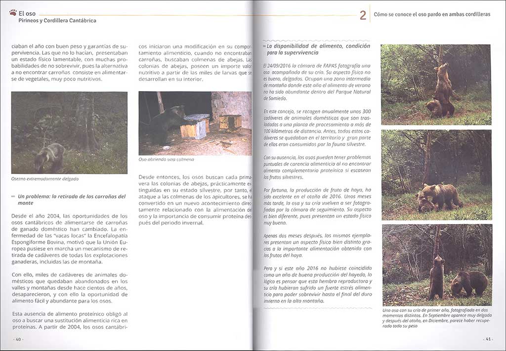 EL OSO. PIRINEOS Y CORDILLERA CANTÁBRICA. CUADERNO DE CAMPO Y CONSERVACIÓN 3