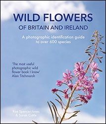WILD FLOWERS OF BRITAIN AND IRELAND: A PHOTOGRAPHIC IDENTIFICATION GUIDE TO OVER 600 SPECIES 1