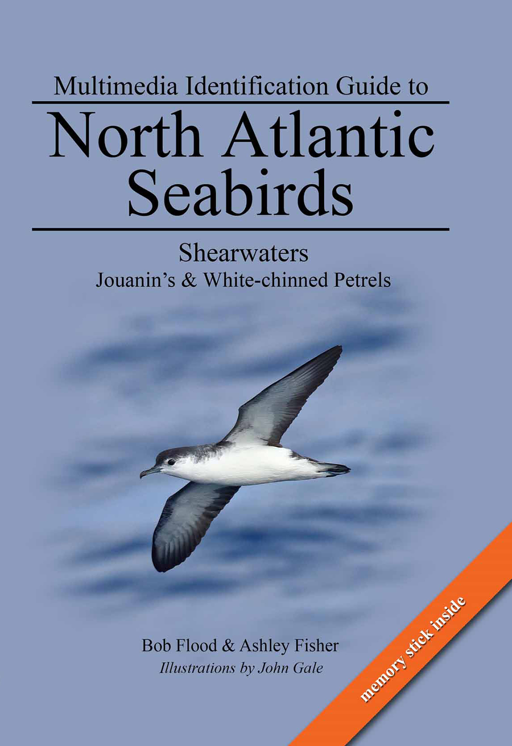 MULTIMEDIA IDENTIFICATION GUIDE TO NORTH ATLANTIC SEABIRDS. SHEARWATERS. JOUANIN'S & WHITE-CHINNED PETRELS 1