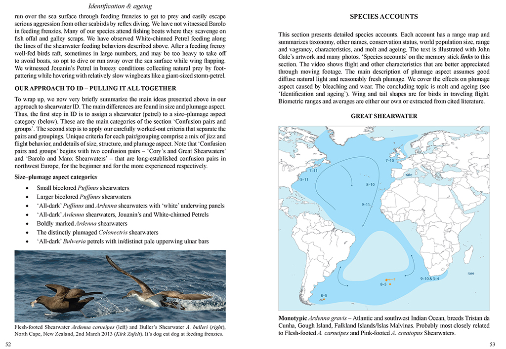 MULTIMEDIA IDENTIFICATION GUIDE TO NORTH ATLANTIC SEABIRDS. SHEARWATERS. JOUANIN'S & WHITE-CHINNED PETRELS 3