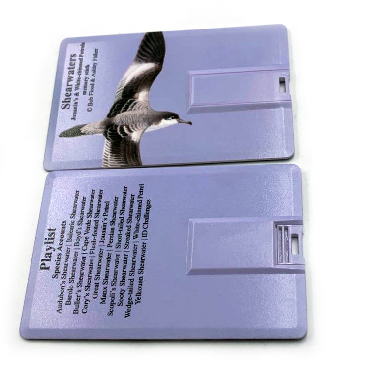 MULTIMEDIA IDENTIFICATION GUIDE TO NORTH ATLANTIC SEABIRDS. SHEARWATERS. JOUANIN'S & WHITE-CHINNED PETRELS 6