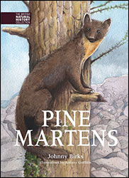 PINE MARTENS 1