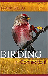BIRDING IN CONNECTICUT