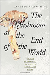 THE MUSHROOM AT THE END OF THE WORLD 1