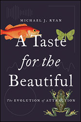 A TASTE FOR THE BEAUTIFUL. THE EVOLUTION OF ATTRACTION 1