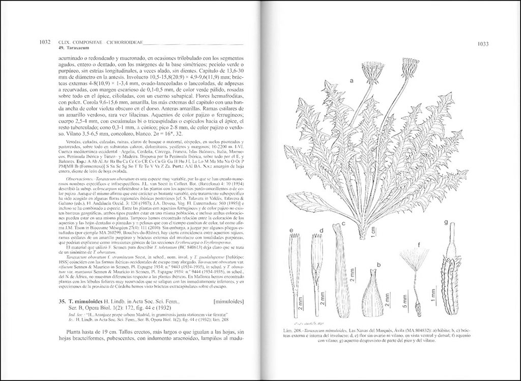 FLORA IBÉRICA. VOL. XVI (II) COMPOSITAE (PARTIM) 3
