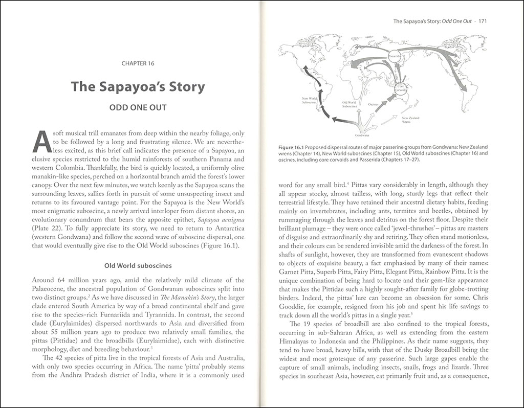 THE ASCENT OF BIRDS. HOW MODERN SCIENCE IS REVEALING THEIR STORY 4