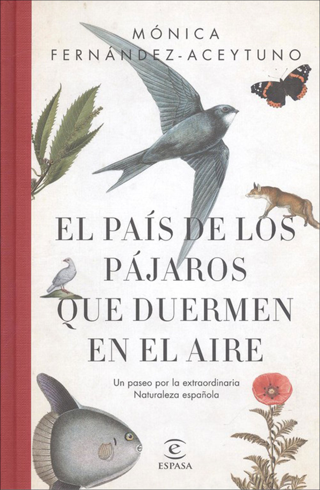 EL PAÍS DE LOS PÁJAROS QUE DUERMEN EN EL AIRE 1