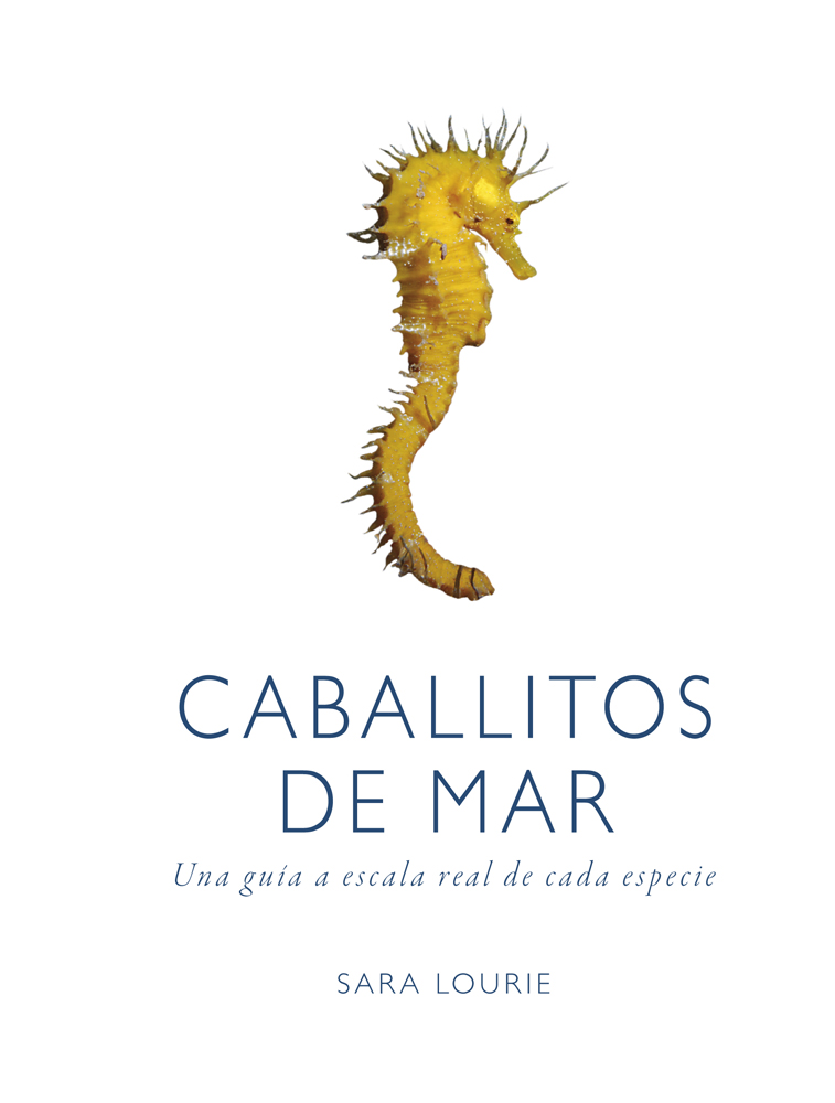CABALLITOS DE MAR. UNA GUÍA A ESCALA REAL DE CADA ESPECIE 1