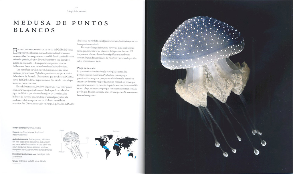 MEDUSAS. UNA HISTORIA NATURAL 3