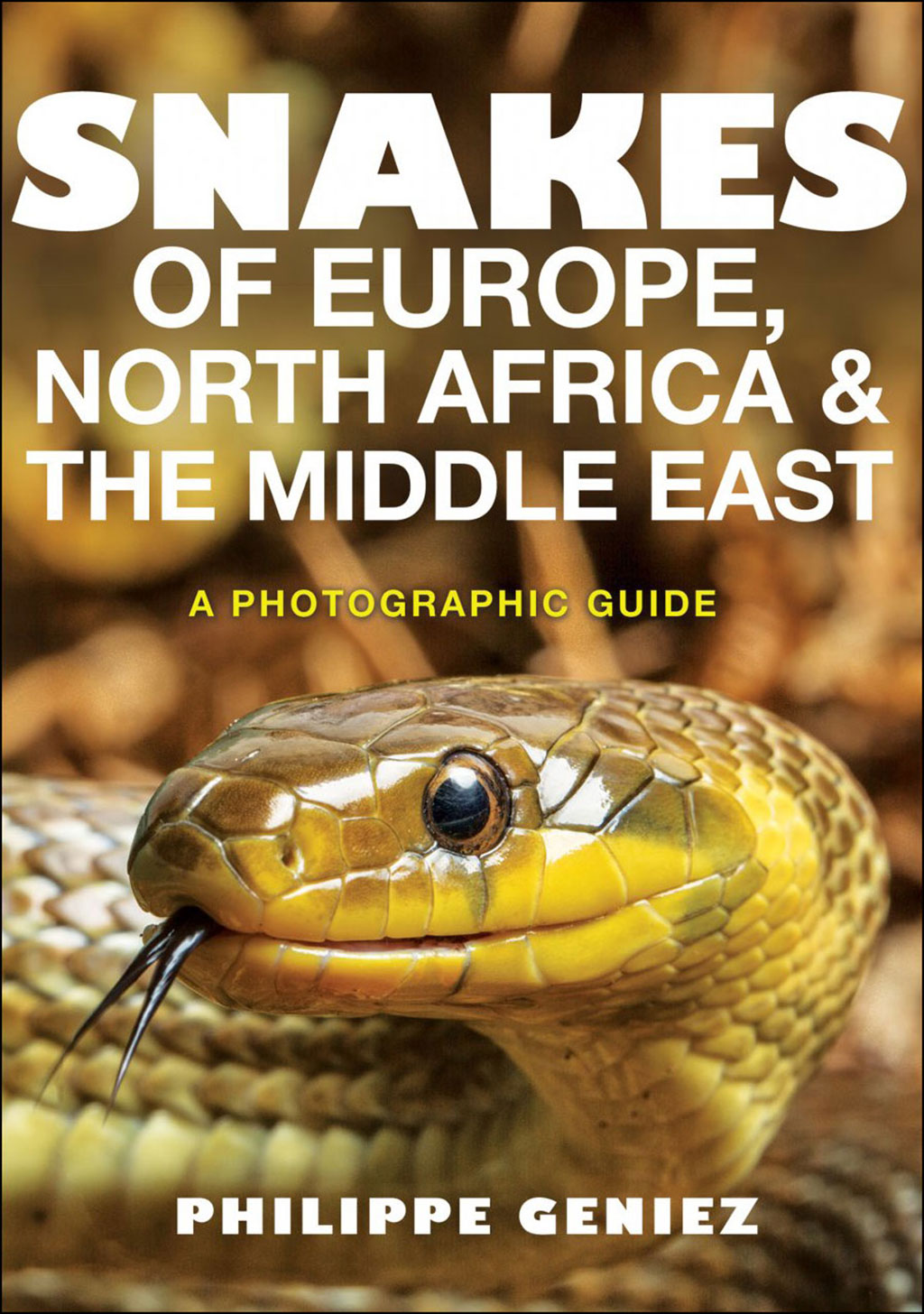 SNAKES OF EUROPE, NORTH AFRICA AND THE MIDDLE EAST 1