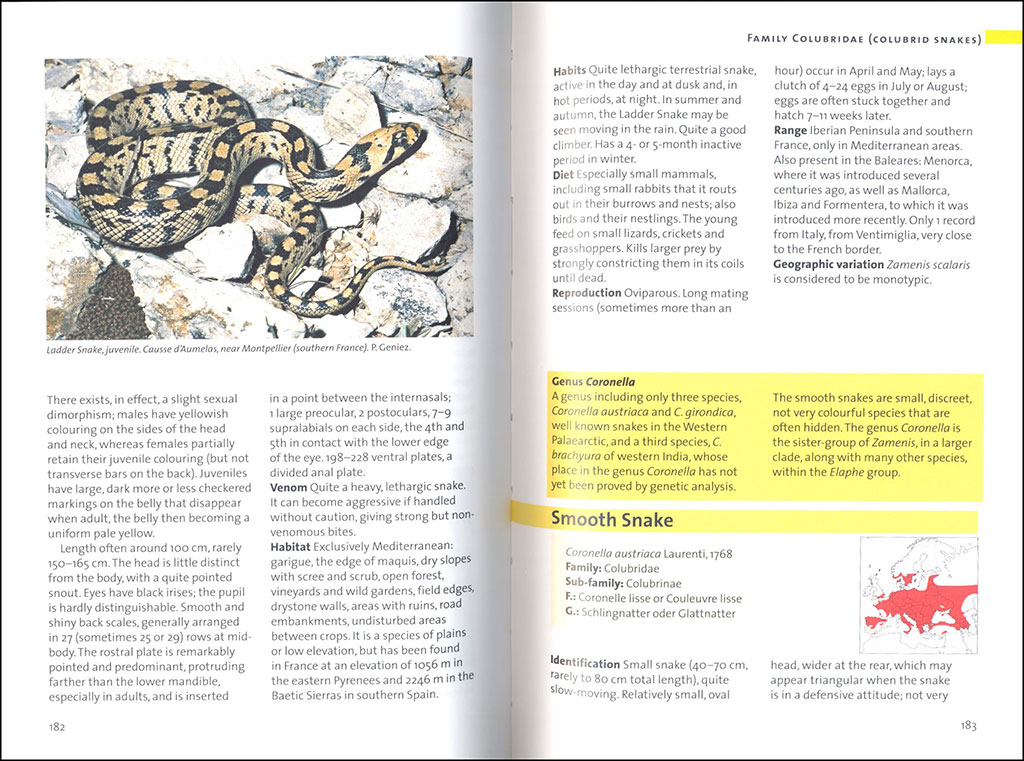 SNAKES OF EUROPE, NORTH AFRICA AND THE MIDDLE EAST 3