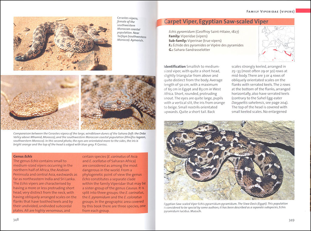 SNAKES OF EUROPE, NORTH AFRICA AND THE MIDDLE EAST 4