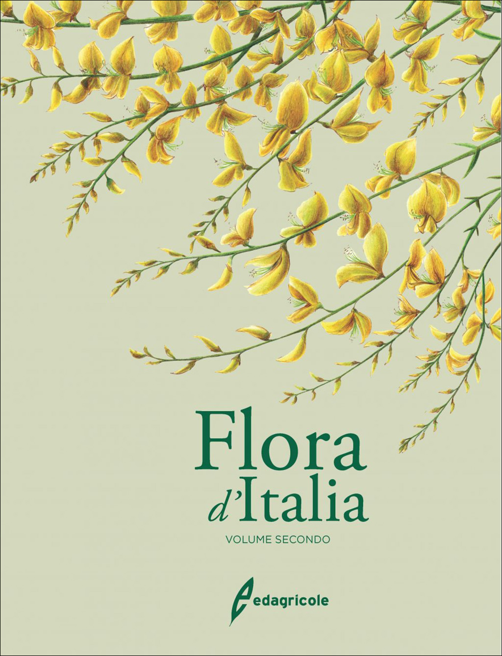 FLORA D'ITALIA VOLUME SECONDO