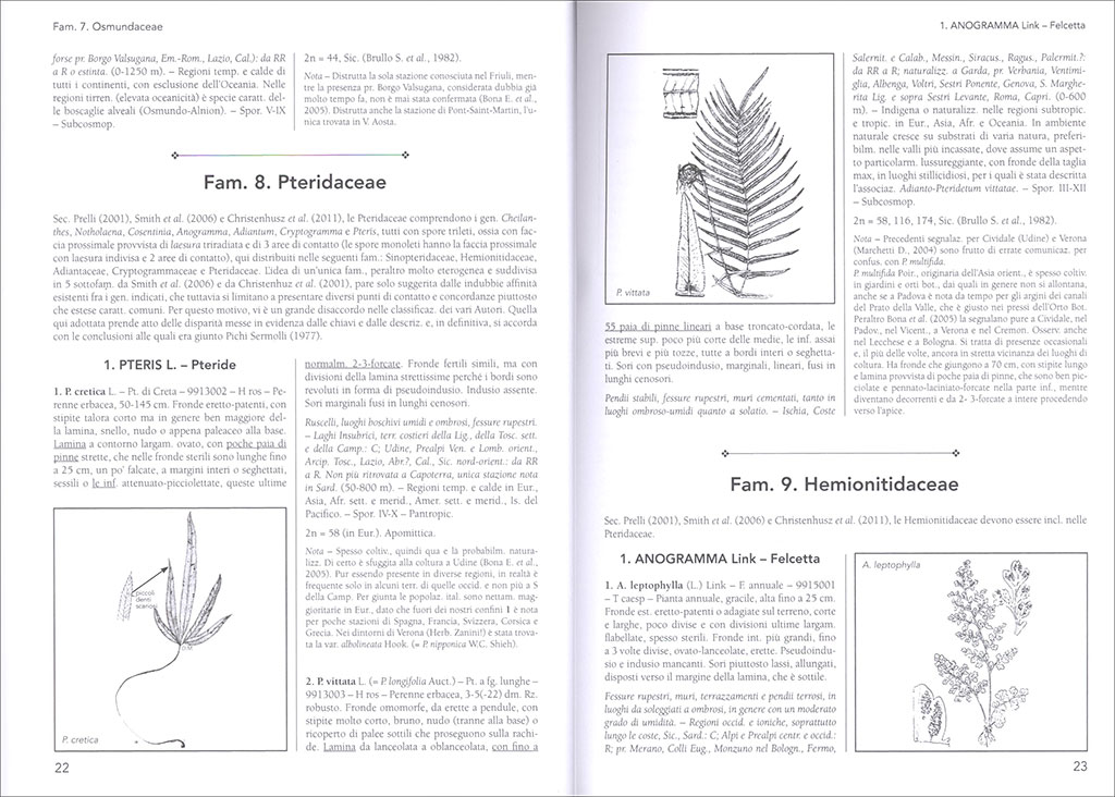 FLORA D'ITALIA VOLUME SECONDO 3