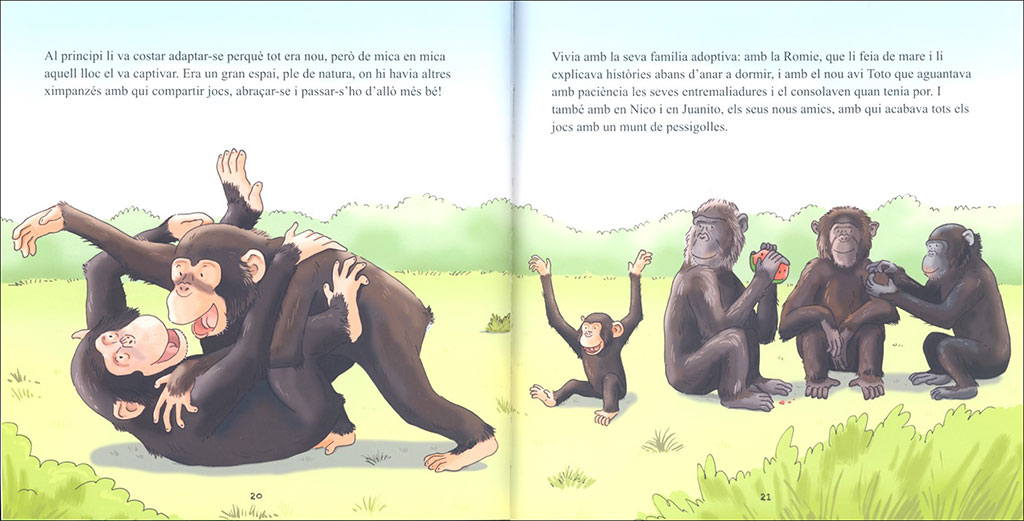 BONGO. PETITA HISTÒRIA D'UN XIMPANZÉ 3