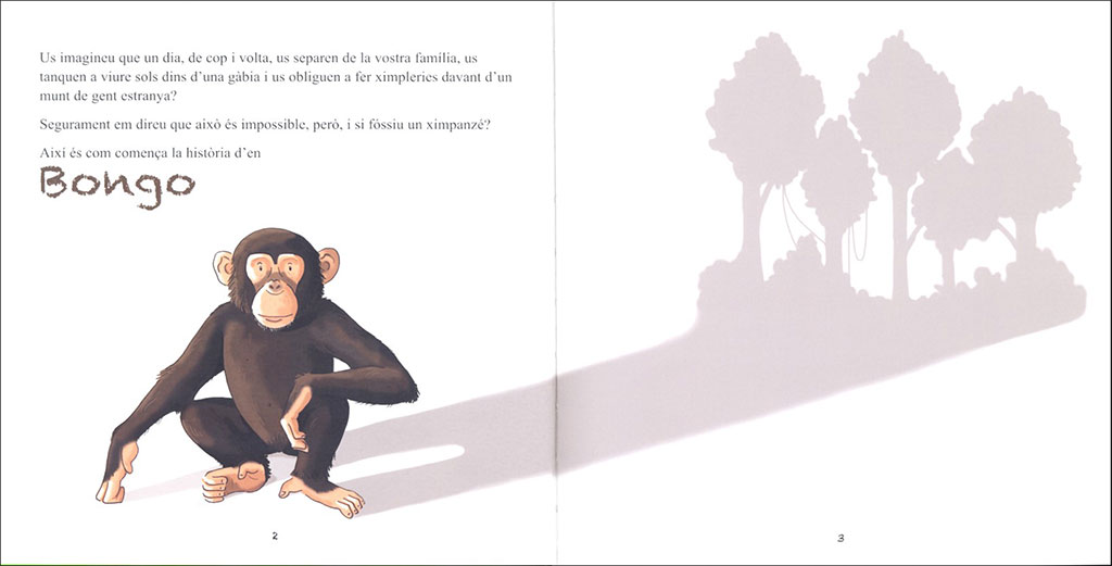 BONGO. PETITA HISTÒRIA D'UN XIMPANZÉ 4