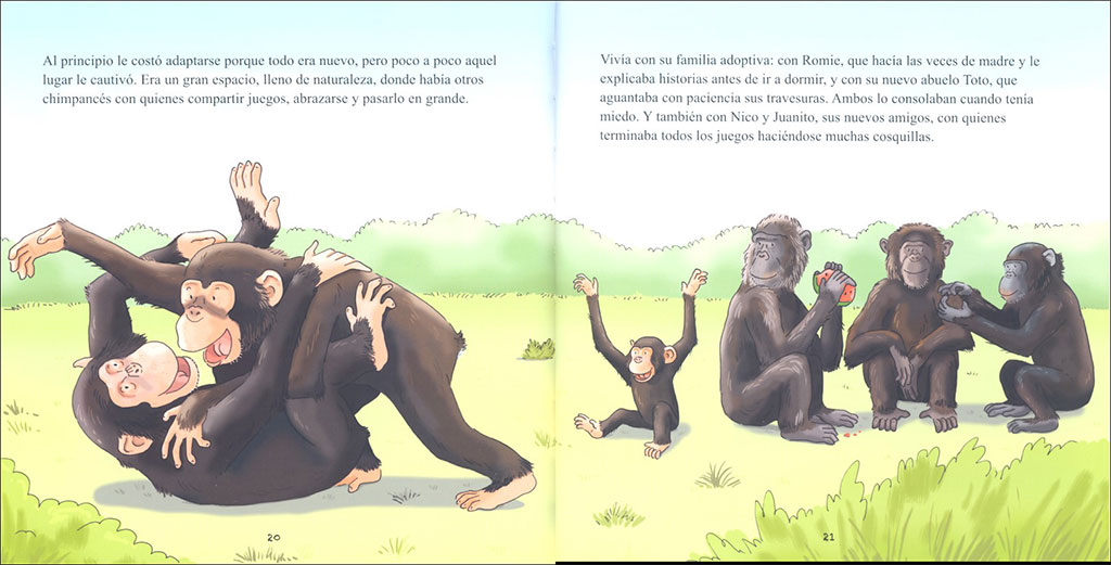 BONGO. PEQUEÑA HISTORIA DE UN CHIMPANCÉ 3