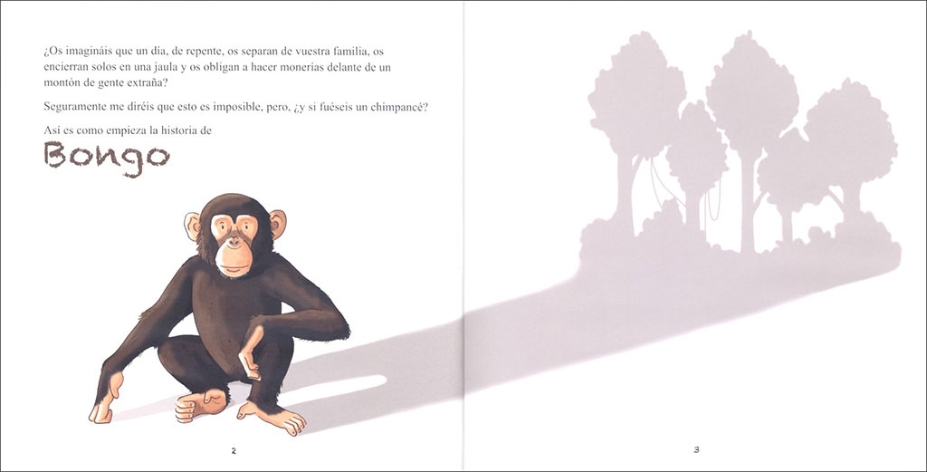 BONGO. PEQUEÑA HISTORIA DE UN CHIMPANCÉ 4