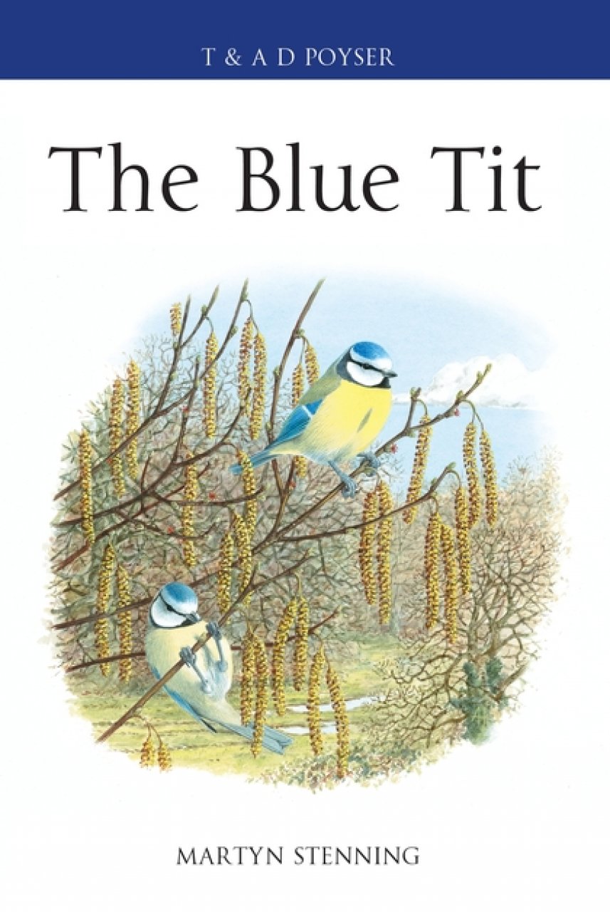 THE BLUE TIT 1
