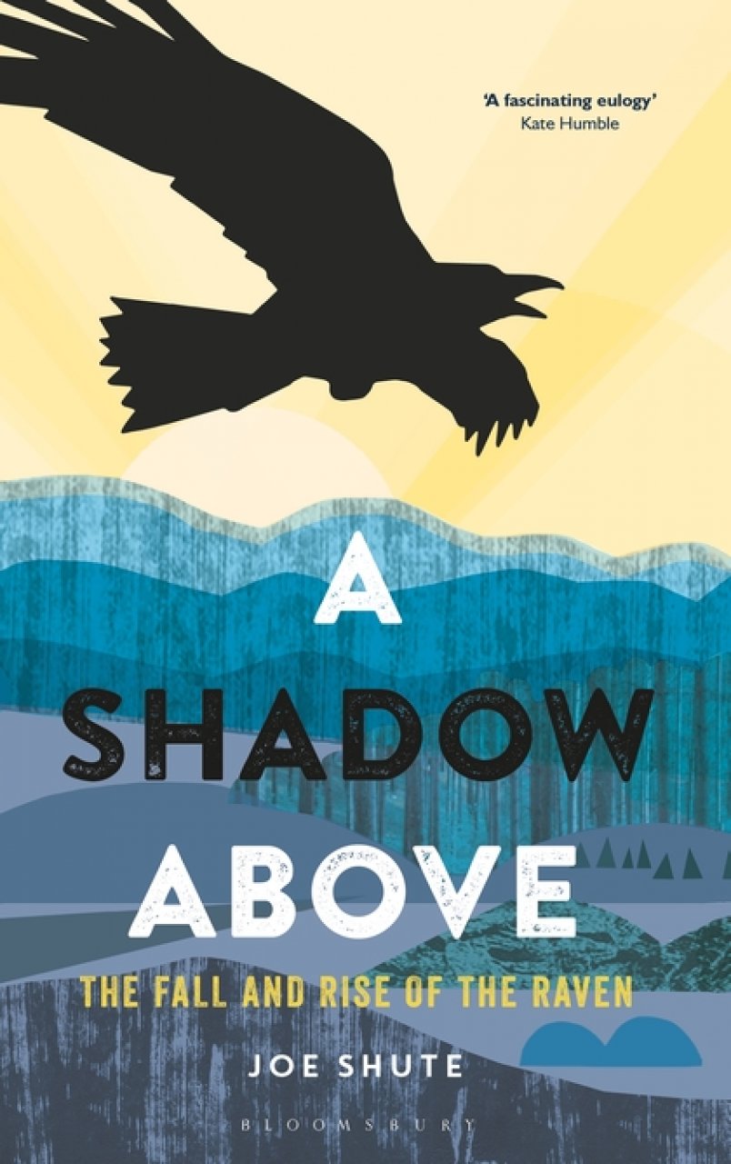 A SHADOW ABOVE. THE FALL AND RISE OF THE RAVEN