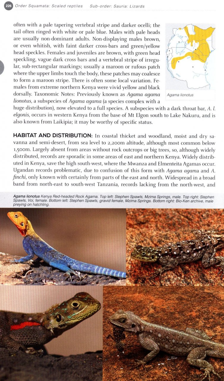 FIELD GUIDE TO EAST AFRICAN REPTILES 2