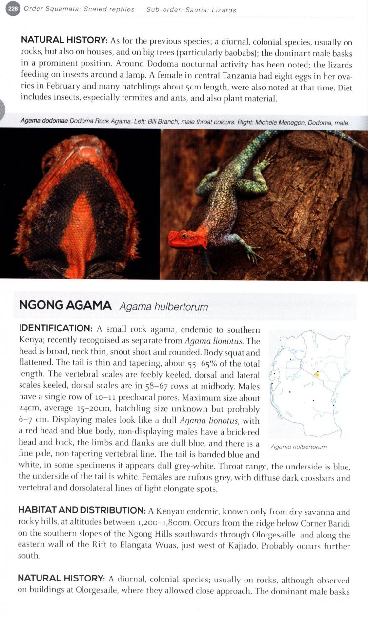 FIELD GUIDE TO EAST AFRICAN REPTILES 3