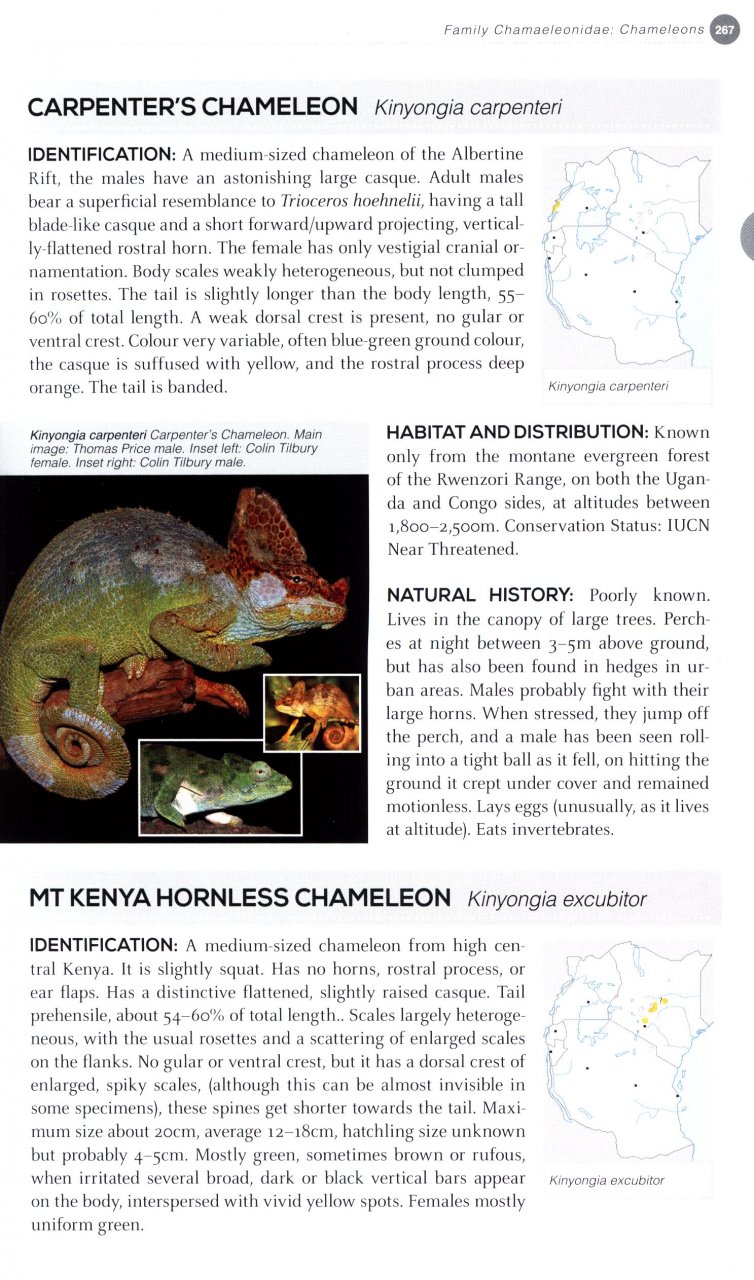 FIELD GUIDE TO EAST AFRICAN REPTILES 5