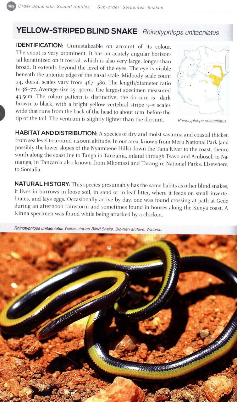 FIELD GUIDE TO EAST AFRICAN REPTILES 6
