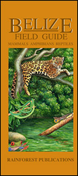 BELIZE WILDLIFE GUIDE. MAMMALS, AMPHIBIANS, REPTILES 1