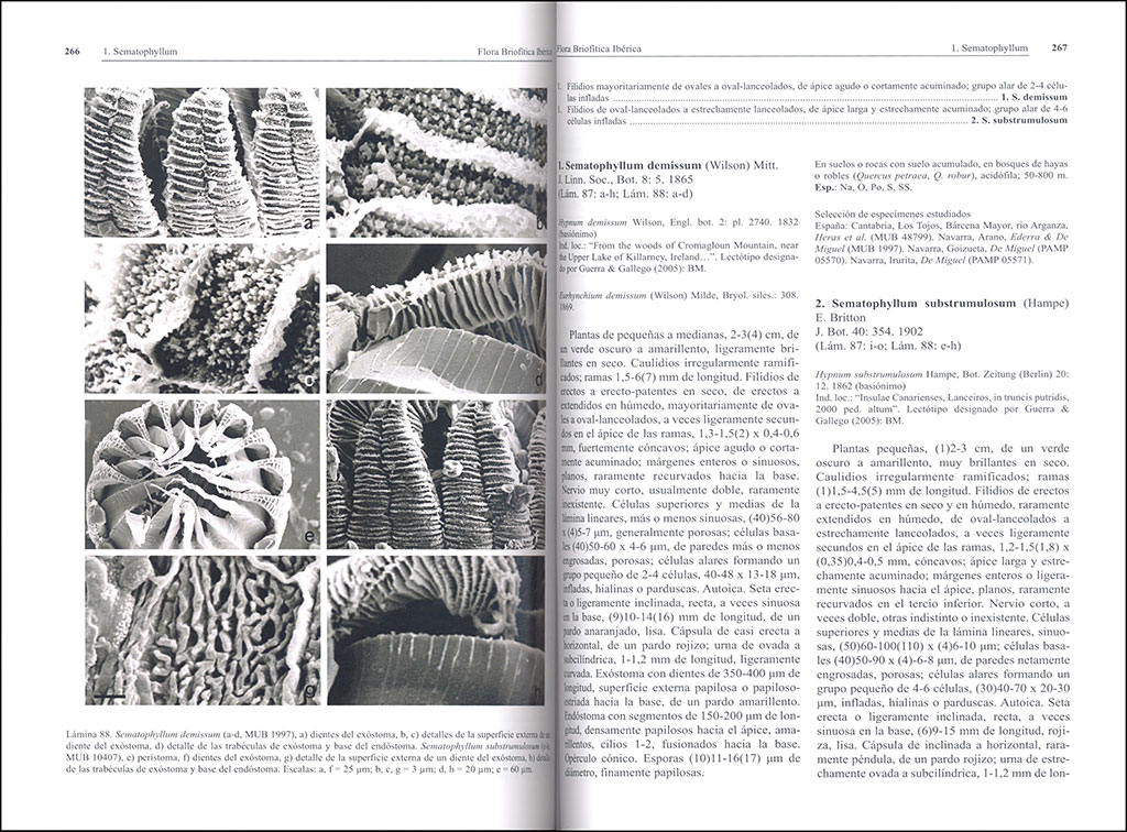 FLORA BRIOFÍTICA IBÉRICA. VOLUMEN 6. HYPNALES 4
