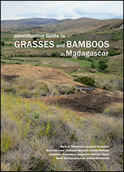 IDENTIFICATION GUIDE TO GRASSES AND BAMBOOS IN MADAGASCAR