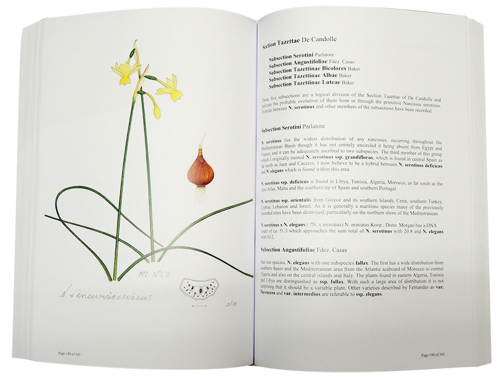 A SURVEY OF THE GENUS NARCISSUS 2