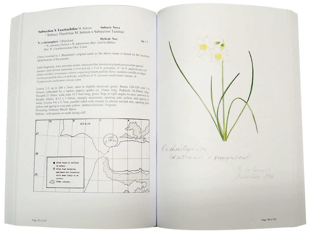A SURVEY OF THE GENUS NARCISSUS 3