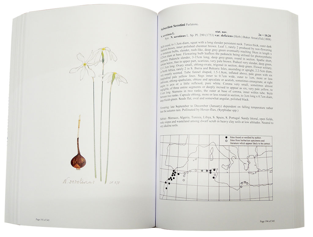 A SURVEY OF THE GENUS NARCISSUS 4