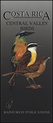 COSTA RICA. CENTRAL VALLEY BIRDS