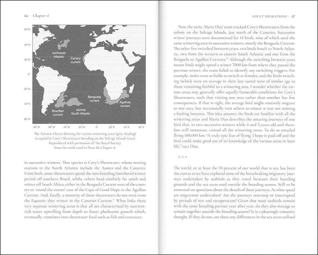 FAR FROM LAND. THE MYSTERIOUS LIVES OF SEABIRDS 2