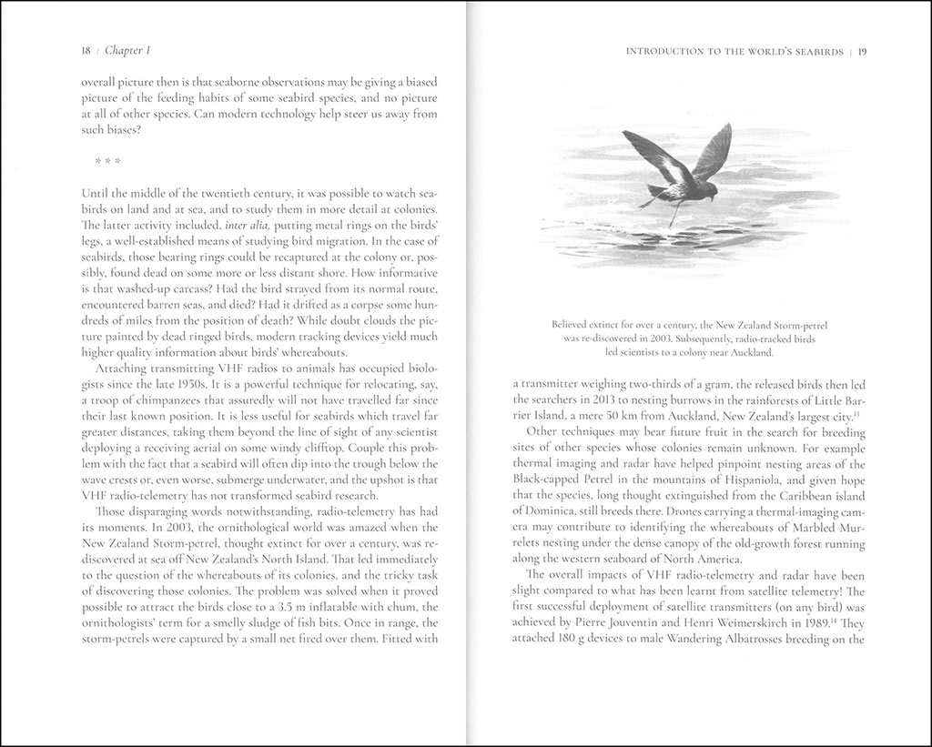 FAR FROM LAND. THE MYSTERIOUS LIVES OF SEABIRDS 3